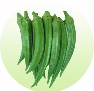 Okra